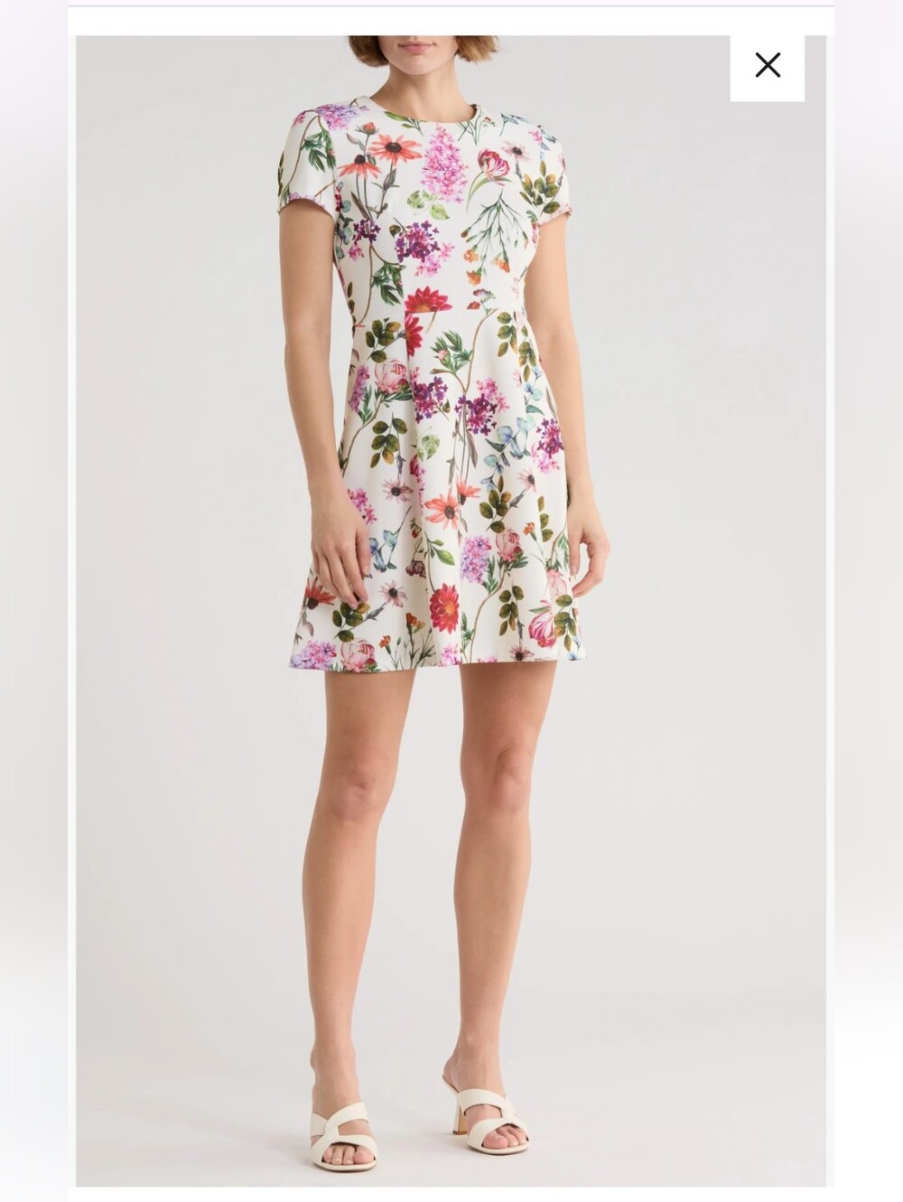 Eliza J Floral Crepe Short Sleeve Fit & Flare Dress Ivory Multi Size 4 NWT